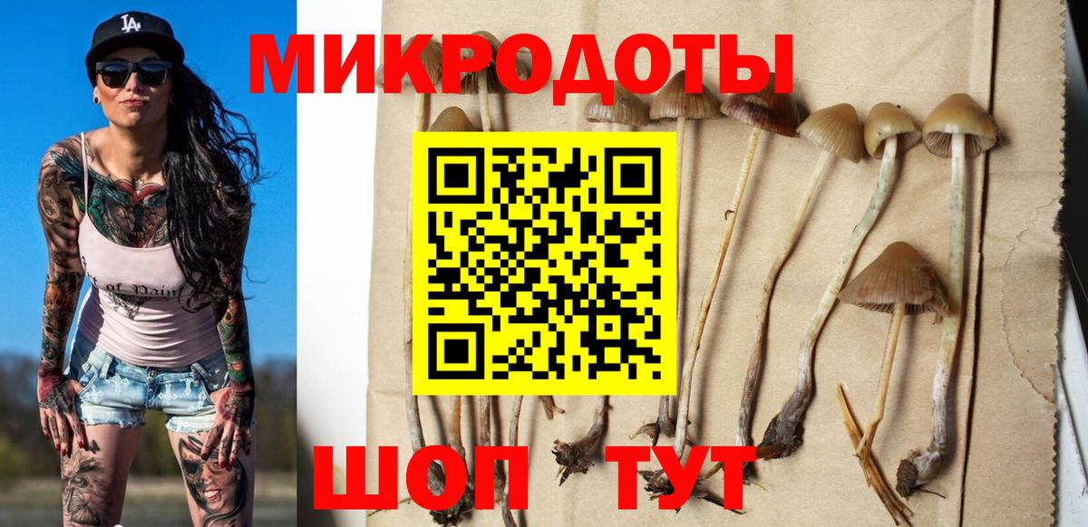 Нефтеюганск  Галлюциногенные грибы прущие грибы  Вход с VPN  Псилоцибиновые грибы Psilocybe 